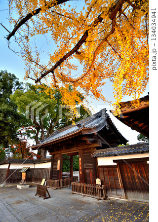 (愛知県)名古屋市 イチョウの黄葉に染まる秋の徳川園黒門 (愛知県)名古屋市 イチョウの黄葉に染まる秋の徳川園黒門 134034941