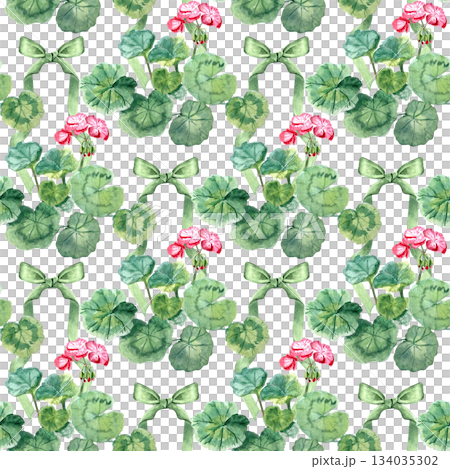 Geranium with pink blossoms and a green ribbon. Hand-painted watercolor seamless pattern isolated on white perfect for garden designs, wrapping paper, textile, invitations, packaging, home decor 134035302