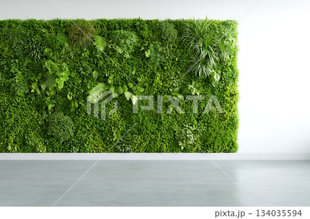 Lush Vertical Garden Wall Featuring Various Green Plants and Leaves in Indoor Setting 134035594