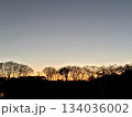 木々のシルエットが並ぶ夕焼けと夕闇 134036002