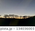 木々のシルエットが並ぶ夕焼けと夕闇 134036003