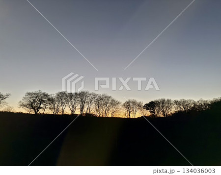 木々のシルエットが並ぶ夕焼けと夕闇 木々のシルエットが並ぶ夕焼けと夕闇 134036003