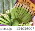 バナナの花 134036007