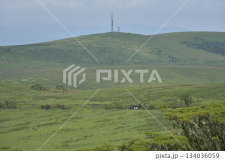 アフリカタンザニアのンゴロンゴロ保全地域 アフリカタンザニアのンゴロンゴロ保全地域 134036059