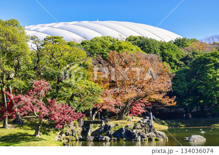 東京都　小石川後楽園　大泉水周辺　紅葉の風景　国の特別史跡 134036074