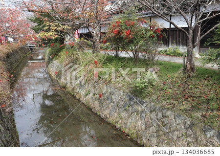 京都哲学の道の紅葉散策 134036685