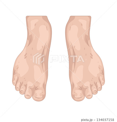 Illustration of foot 134037158