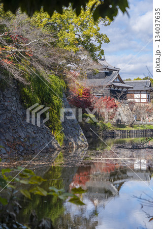 晴天の郡山城と紅葉(奈良県大和郡山市) 晴天の郡山城と紅葉(奈良県大和郡山市) 134037635