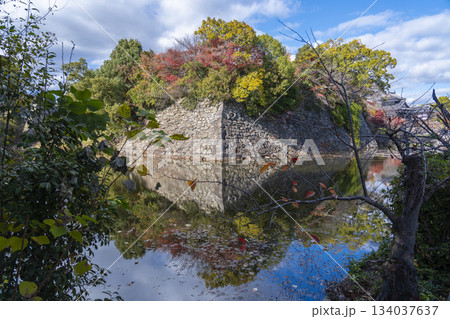 晴天の郡山城と紅葉(奈良県大和郡山市) 晴天の郡山城と紅葉(奈良県大和郡山市) 134037637