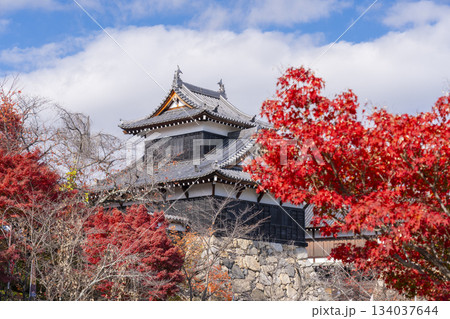 晴天の郡山城と紅葉（奈良県大和郡山市） 134037644