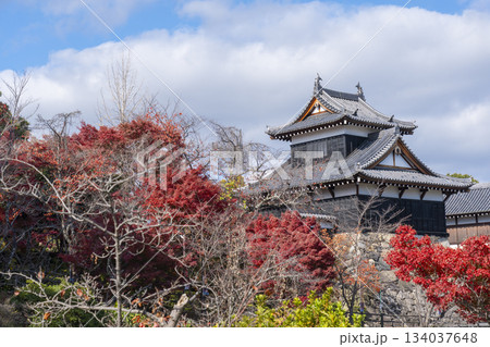 晴天の郡山城と紅葉(奈良県大和郡山市) 晴天の郡山城と紅葉(奈良県大和郡山市) 134037648