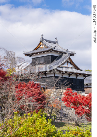 晴天の郡山城と紅葉(奈良県大和郡山市) 晴天の郡山城と紅葉(奈良県大和郡山市) 134037649