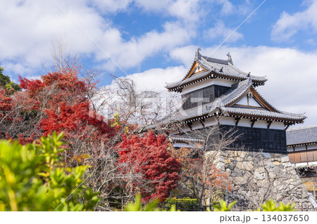 晴天の郡山城と紅葉(奈良県大和郡山市) 晴天の郡山城と紅葉(奈良県大和郡山市) 134037650