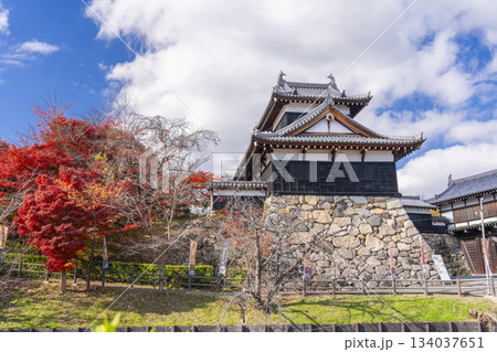 晴天の郡山城と紅葉（奈良県大和郡山市） 134037651