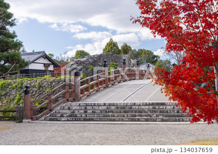 晴天の郡山城 極楽橋と紅葉(奈良県大和郡山市) 晴天の郡山城 極楽橋と紅葉(奈良県大和郡山市) 134037659