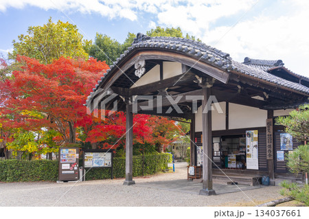 晴天の郡山城 柳澤文庫と紅葉(奈良県大和郡山市) 晴天の郡山城 柳澤文庫と紅葉(奈良県大和郡山市) 134037661