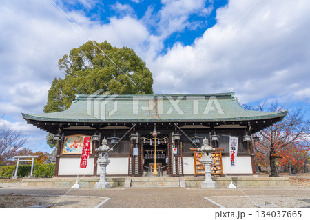 晴天の郡山城跡公園　柳澤神社（奈良県大和郡山市） 134037665