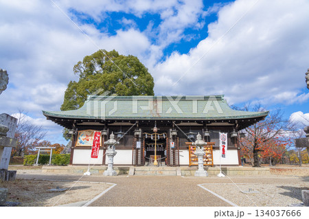 晴天の郡山城跡公園　柳澤神社（奈良県大和郡山市） 134037666