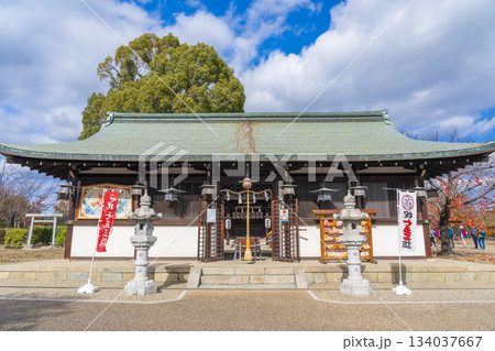 晴天の郡山城跡公園 柳澤神社(奈良県大和郡山市) 晴天の郡山城跡公園 柳澤神社(奈良県大和郡山市) 134037667