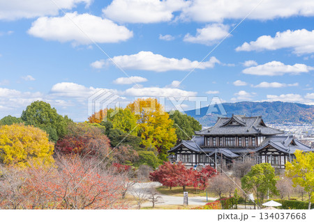晴天の郡山城 城址会館と紅葉(奈良県大和郡山市) 晴天の郡山城 城址会館と紅葉(奈良県大和郡山市) 134037668