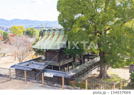 晴天の郡山城跡公園　柳澤神社（奈良県大和郡山市） 134037669