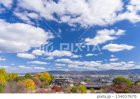 晴天の郡山城　城址会館と紅葉（奈良県大和郡山市） 134037670