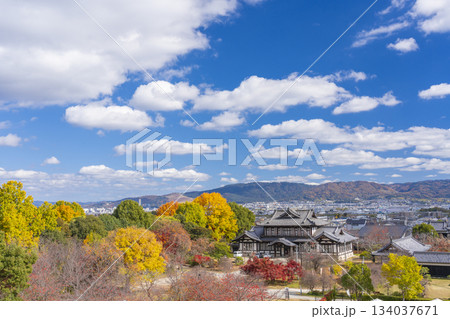 晴天の郡山城　城址会館と紅葉（奈良県大和郡山市） 134037671