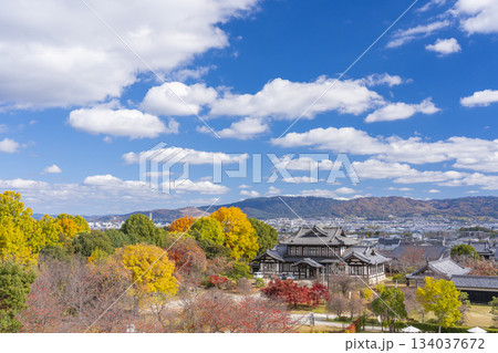 晴天の郡山城 城址会館と紅葉(奈良県大和郡山市) 晴天の郡山城 城址会館と紅葉(奈良県大和郡山市) 134037672