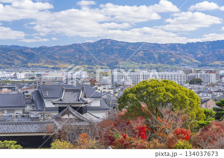 晴天の郡山城と紅葉（奈良県大和郡山市） 134037673