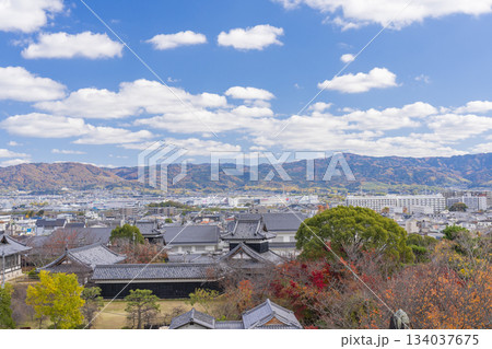 晴天の郡山城と紅葉（奈良県大和郡山市） 134037675