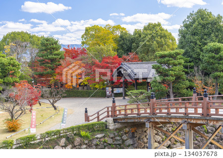 晴天の郡山城 柳澤文庫と紅葉(奈良県大和郡山市) 晴天の郡山城 柳澤文庫と紅葉(奈良県大和郡山市) 134037678