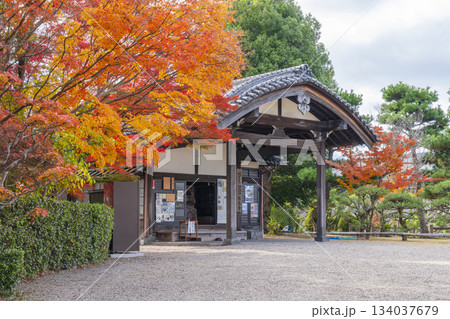 晴天の郡山城 柳澤文庫と紅葉(奈良県大和郡山市) 晴天の郡山城 柳澤文庫と紅葉(奈良県大和郡山市) 134037679