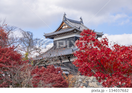 晴天の郡山城と紅葉(奈良県大和郡山市) 晴天の郡山城と紅葉(奈良県大和郡山市) 134037682