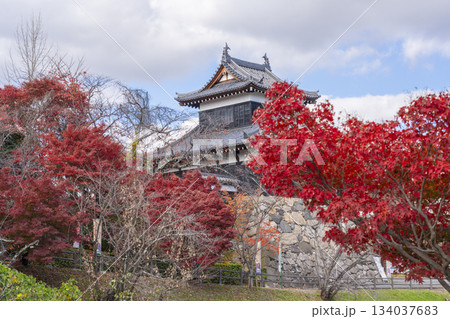 晴天の郡山城と紅葉（奈良県大和郡山市） 134037683
