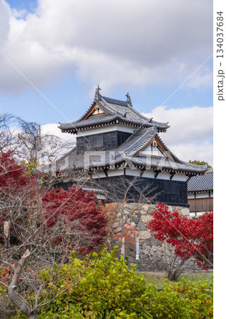 晴天の郡山城と紅葉（奈良県大和郡山市） 134037684