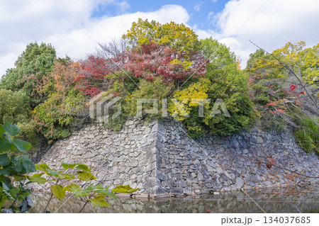 晴天の郡山城と紅葉(奈良県大和郡山市) 晴天の郡山城と紅葉(奈良県大和郡山市) 134037685