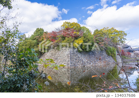 晴天の郡山城と紅葉（奈良県大和郡山市） 134037686