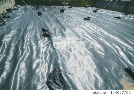 various various 134037706