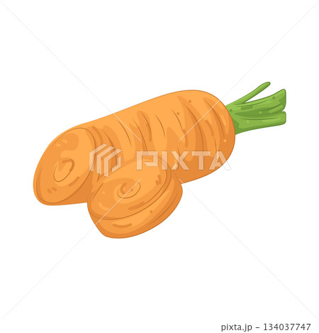 Illustration of carrot 134037747