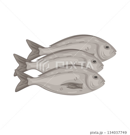 Illustration of fish Illustration of fish 134037749