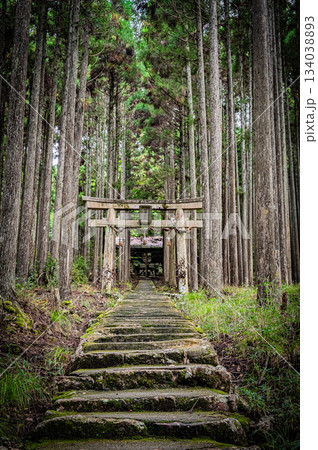 京都・賀茂神社の静かな境内風景 134038893