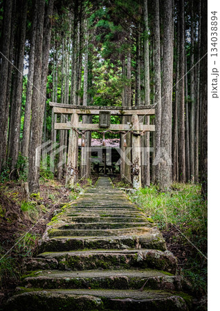 京都・賀茂神社の静かな境内風景 134038894
