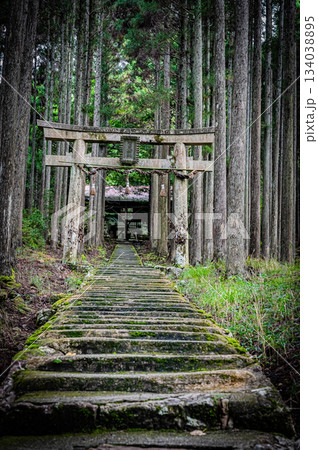 京都・賀茂神社の静かな境内風景 134038895