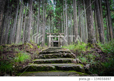 京都・賀茂神社の静かな境内風景 京都・賀茂神社の静かな境内風景 134038897