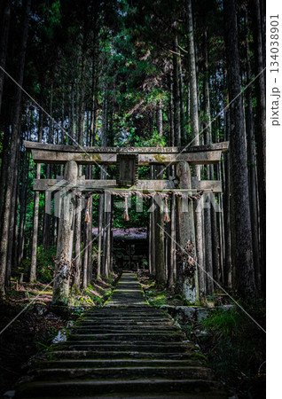 京都・賀茂神社の静かな境内風景 134038901