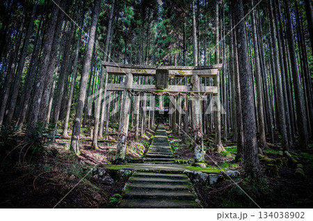 京都・賀茂神社の静かな境内風景 134038902