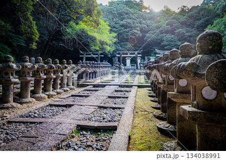 山口県萩市・東光寺に並ぶ毛利家墓所の荘厳な風景 山口県萩市・東光寺に並ぶ毛利家墓所の荘厳な風景 134038991