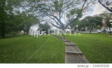 The #NUS sculpture stands beside a tree-lined slope and academic serenity in a scenic outdoor space at the National University of Singapore The #NUS sculpture stands beside a tree-lined slope and academic serenity in a scenic outdoor space at the National University of Singapore 134039100
