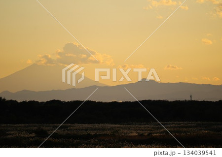 渡良瀬から眺める秋の富士山　夕日に染まる夕景 134039541