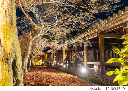 晩秋の東福寺　ライトアップされた通天橋　京都府京都市 134039849